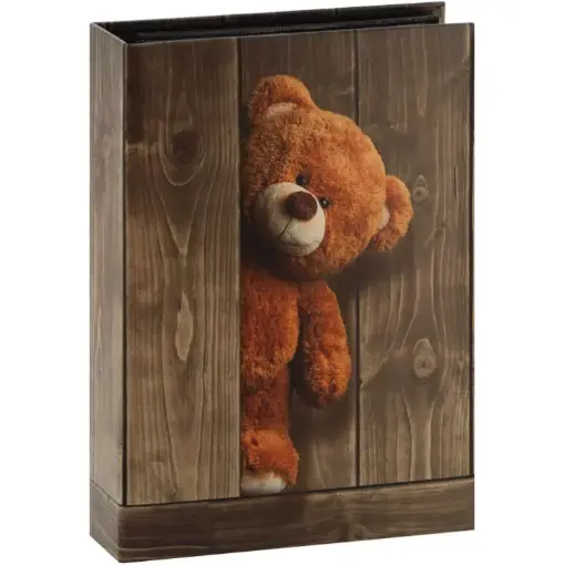 Album photo Nounours
